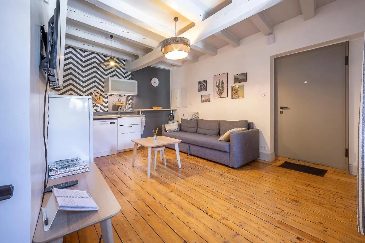 Apartment Bel Appartement, 2 Chambres, Annecy Coeur De Ville